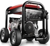 Briggs & Stratton 4000 Watt Pro Generator